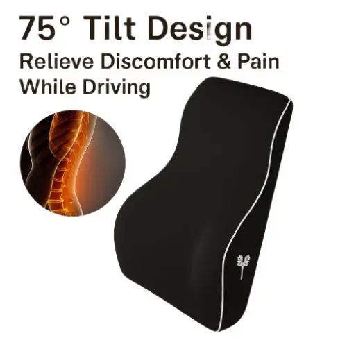 BACK REST-L
