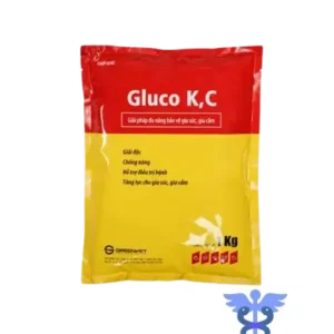 GLUCO C++-1KG